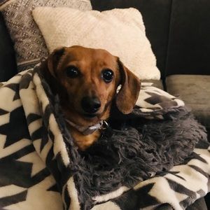 Meet your Posher, Julie